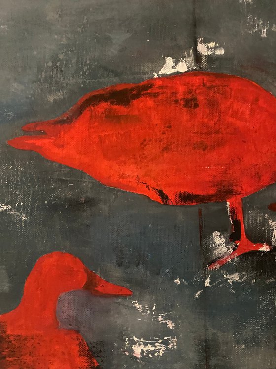 Chicks 40X40 (2024)