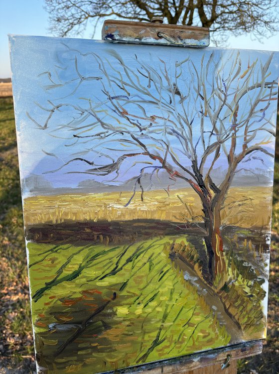 Lone Tree in a March Field