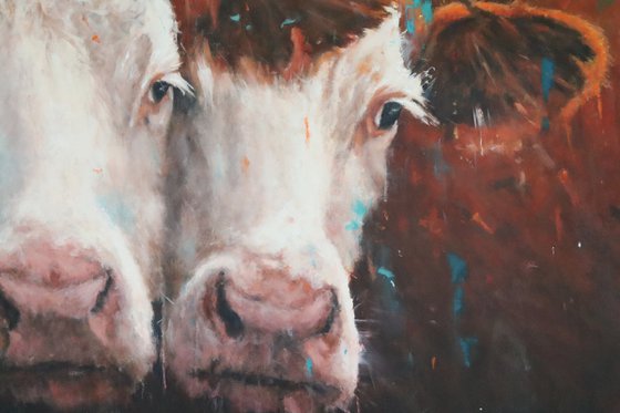 Hereford Cow Love