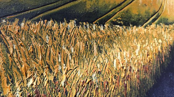 Cornfields and the Barn