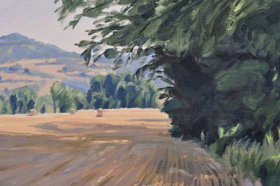After the Harvest, Morning Light