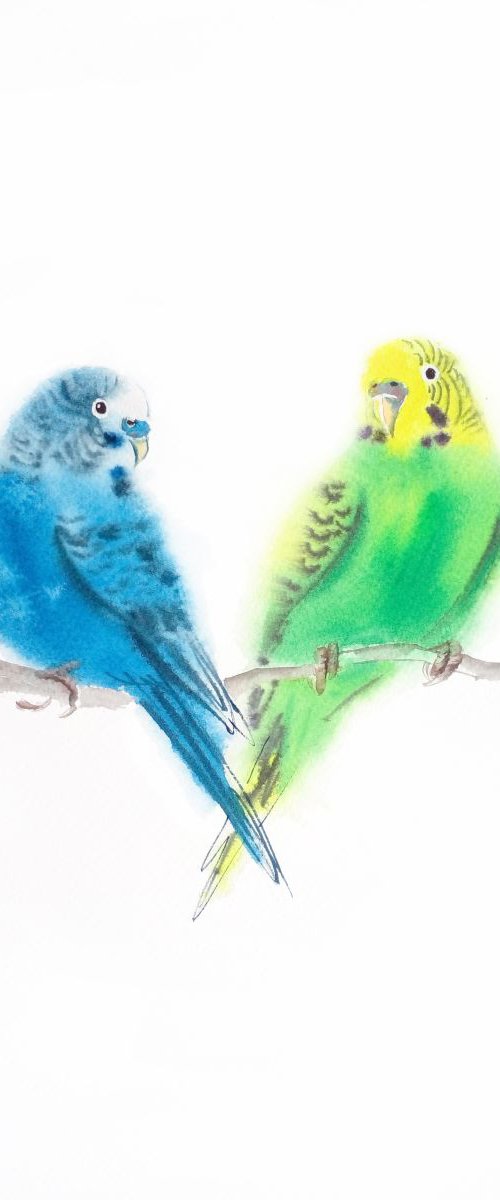 Couple Budgerigar Parakeet Lov by Olga Beliaeva Watercolour