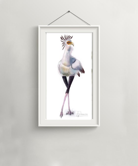 Secretary bird