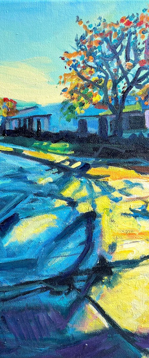 Shadow Tracks by Bonnie Lambert