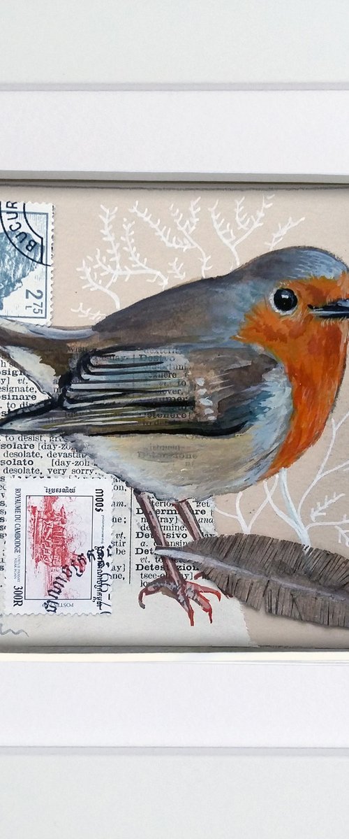 The Robin feather  (framed and ready to hang) by Carolynne Coulson