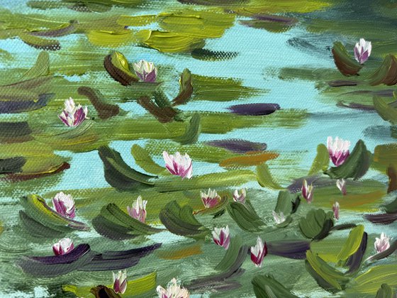 Water Lilies on the Quiet Pond