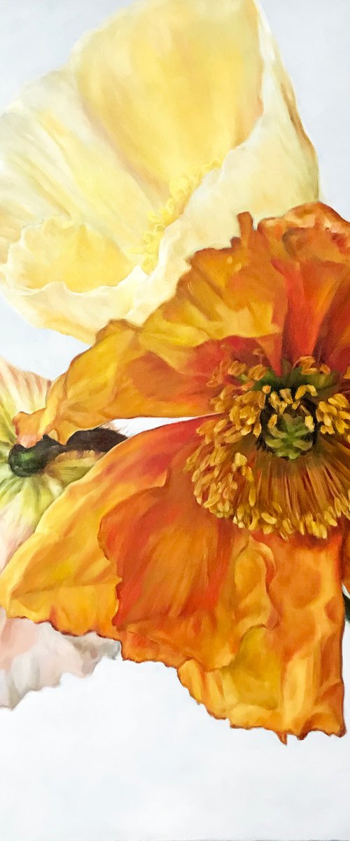 Original oil painting with poppies "Charm" 60*80 cm by Irina Ivlieva