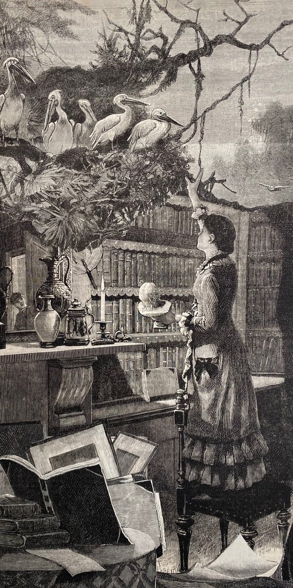 Surrealistic Portrait Collage By Tudor Evans, 6 X 11", Library Birds, Original Artwork