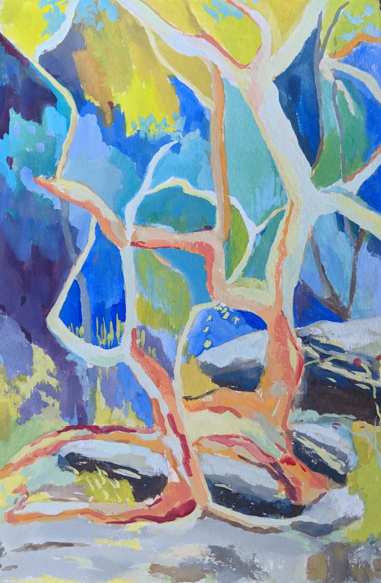 Sydney red gum by Amanda Cutlack