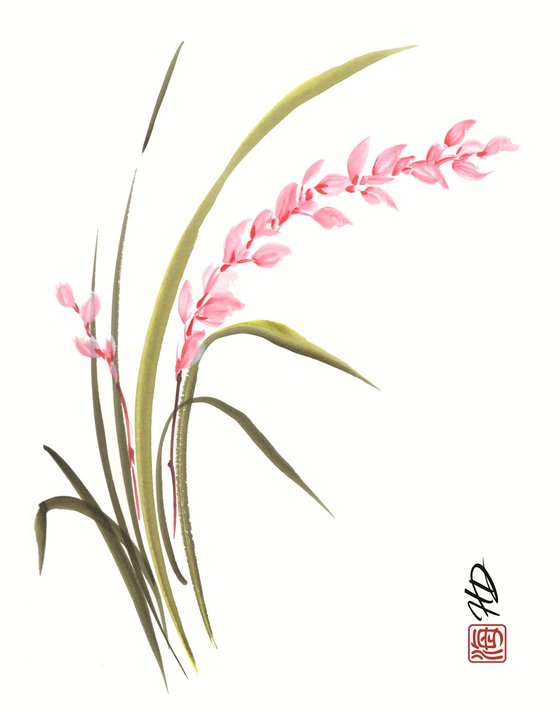 Whispering Pink Orchid