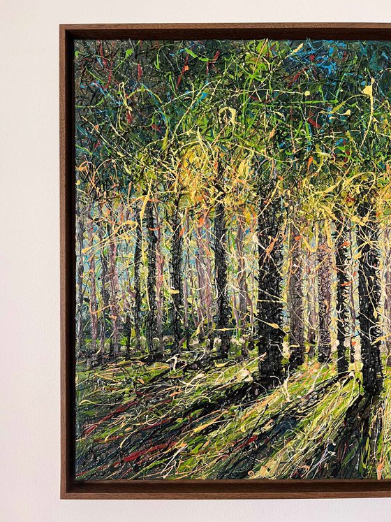 Spring Forest Light
