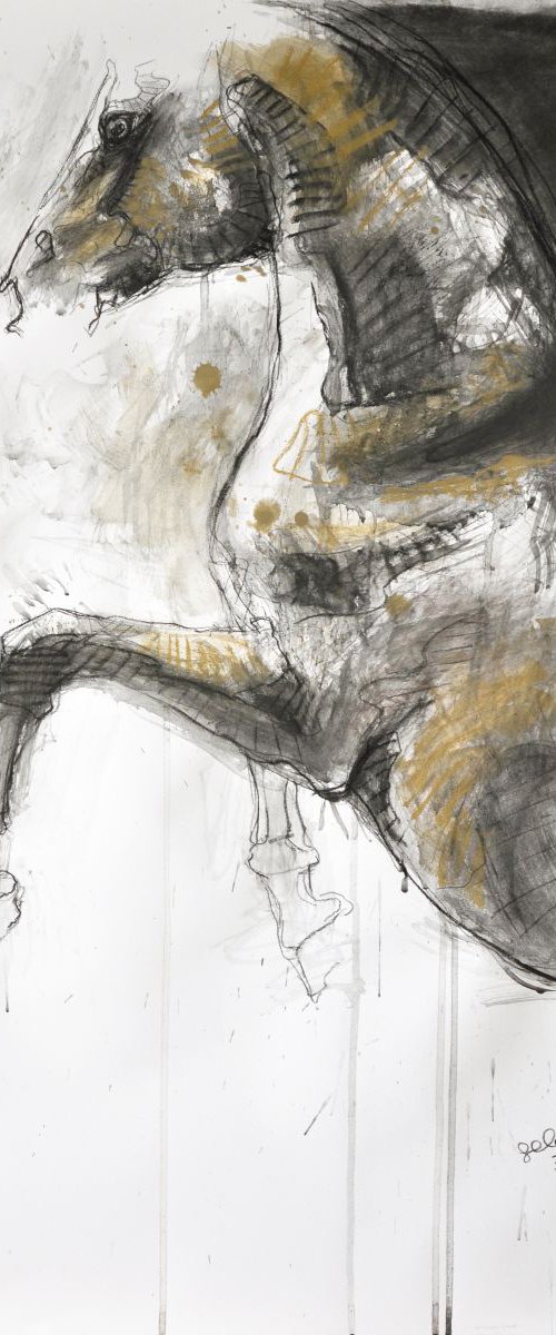Equine Nude 1p by Benedicte Gele
