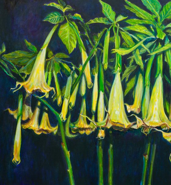 Angels Trumpets