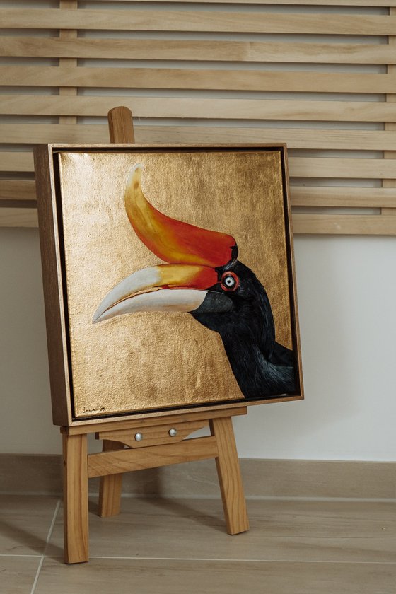 Rhinoceros Hornbill