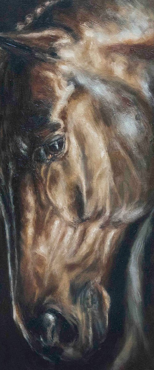 Stallion-Original Horse Portrait by Sabbi Gavrailov