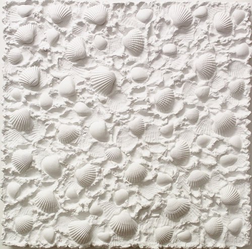 White Shell by Christina Reiter