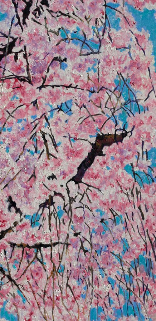 Cherry Blossom by Liudmila Pisliakova