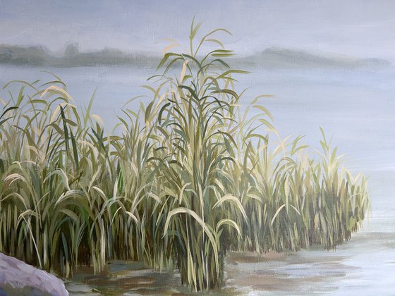 Tranquility III