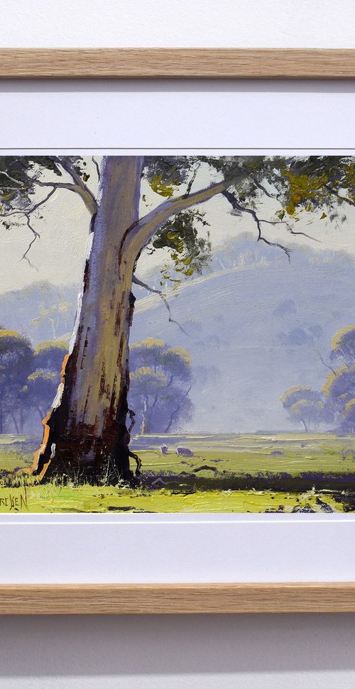 Australian Eucalyptus tree with sheep by Graham Gercken