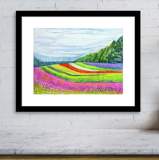 Vibrant summer flower beds