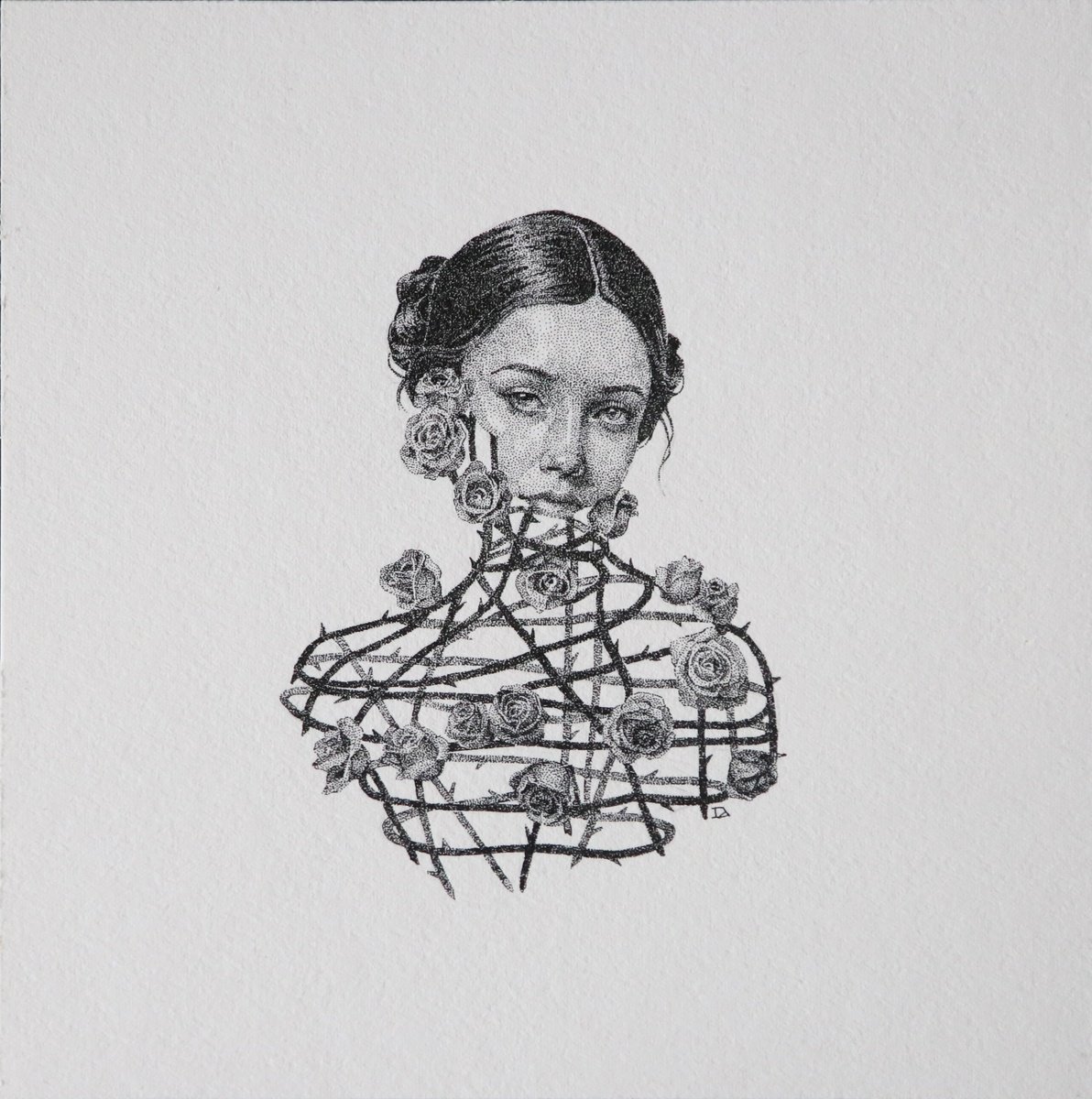 Photorealistic Ink Drawing , Thornborn By Iana Cherepanska, 6 X 6, Artwork For Sale On Artfinder