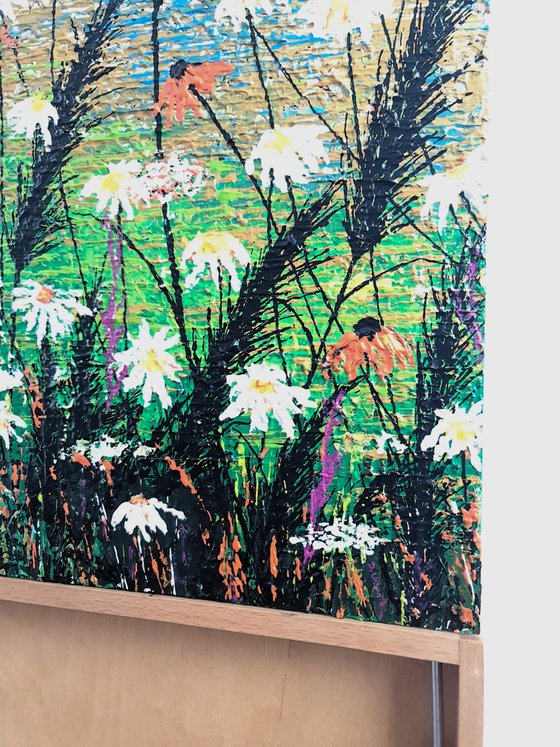 Daisy magic meadow