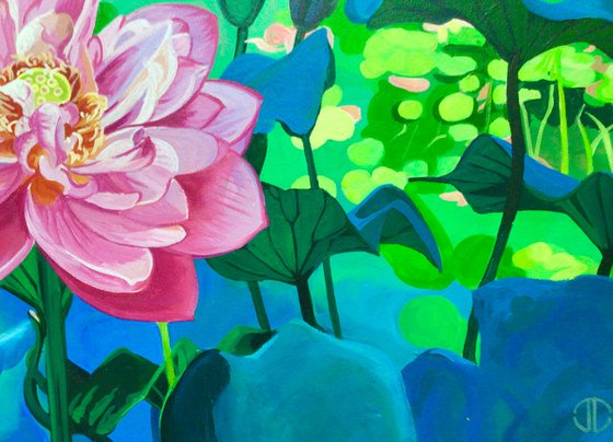Lotus Blossom