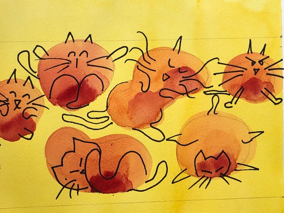 Red cats, yellow home