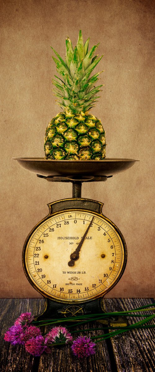 'Pineapple' - Still Life Photography by Michael McHugh
