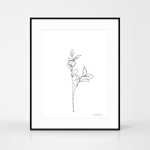 Screen print - Edition of 14 - Botanical plant illustration by The Colour Study