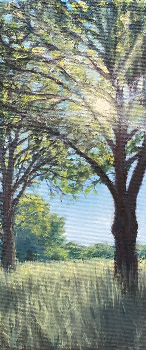 Two Trees on the Way Home by Diana Sandetskaya