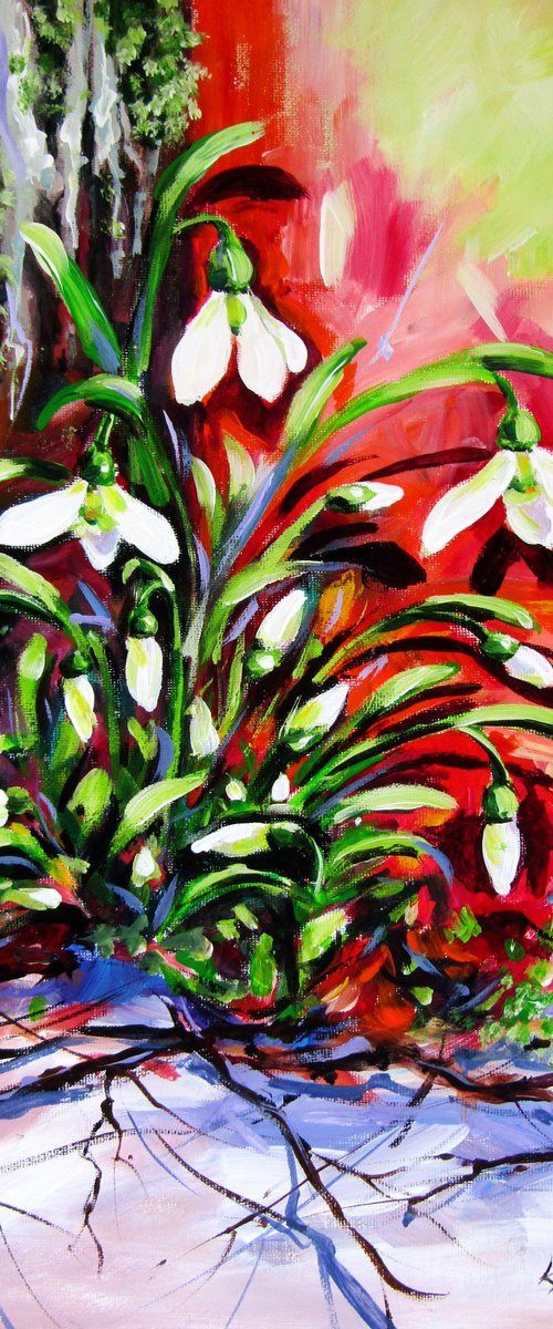 Snowdrops in the garden by Kovács Anna Brigitta