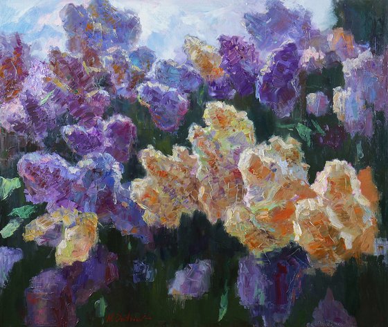Sunny Lilac Branches