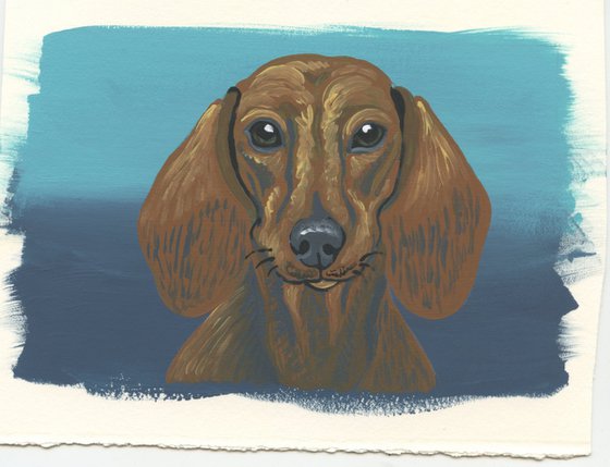 Red Dachshund