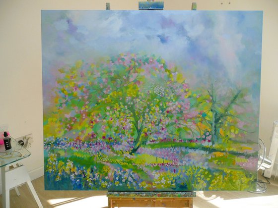 Cherry Blossom Lane 2025