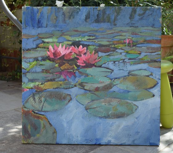 Water lilies