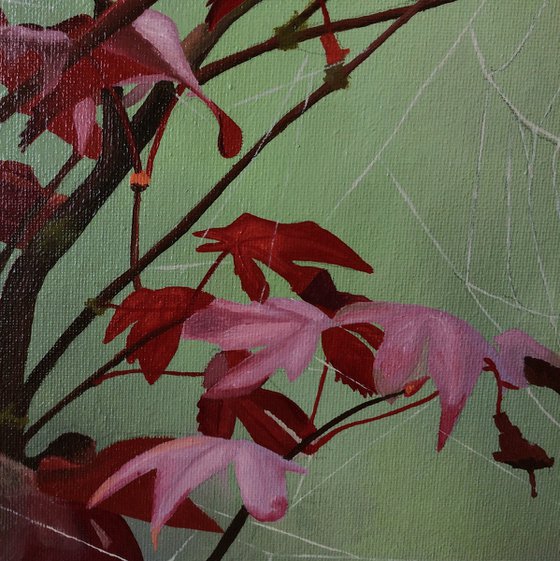Spiderweb (red leaves)