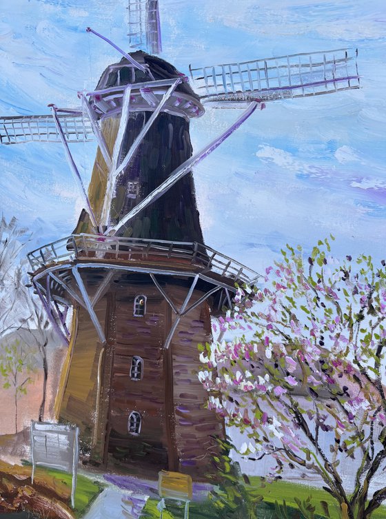 Magnolia and Historic Windmill