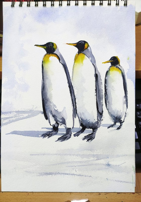 Three penguins on a morning walk