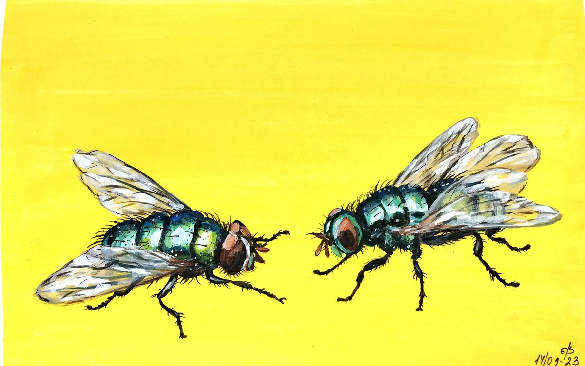 Impressionistic Animal Drawing By Lena Smirnova, 10 X 6", A Couple Of Bottle Flies, Original Artwork