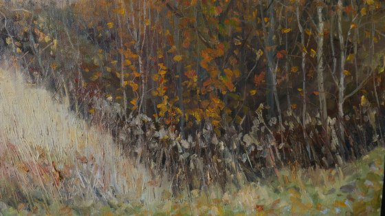 October - sunny autumn landscape painting