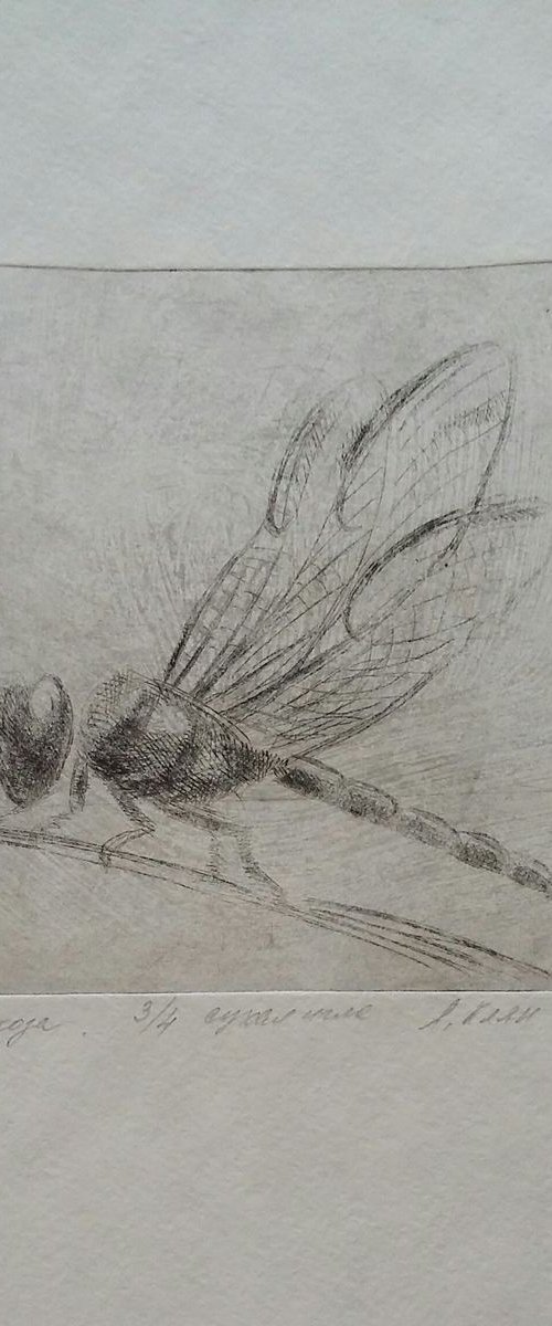 Dragonfly by Elena Klyan