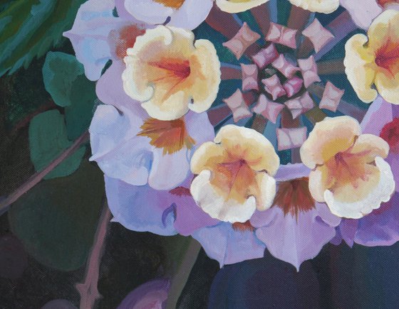 Little Flowers for Fedia