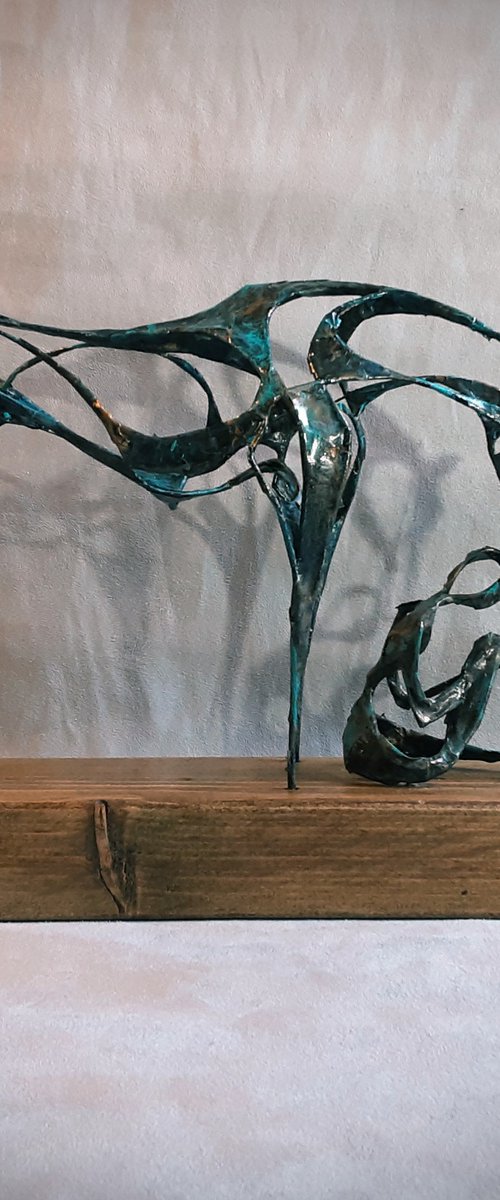Empathy by Linda Hoyle