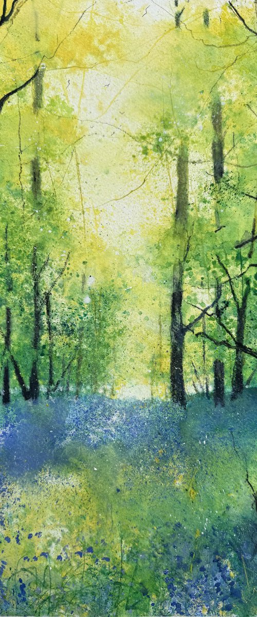 Woodland with Bluebells by Teresa Tanner