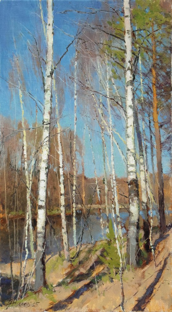 Spring on the Chibyshva River