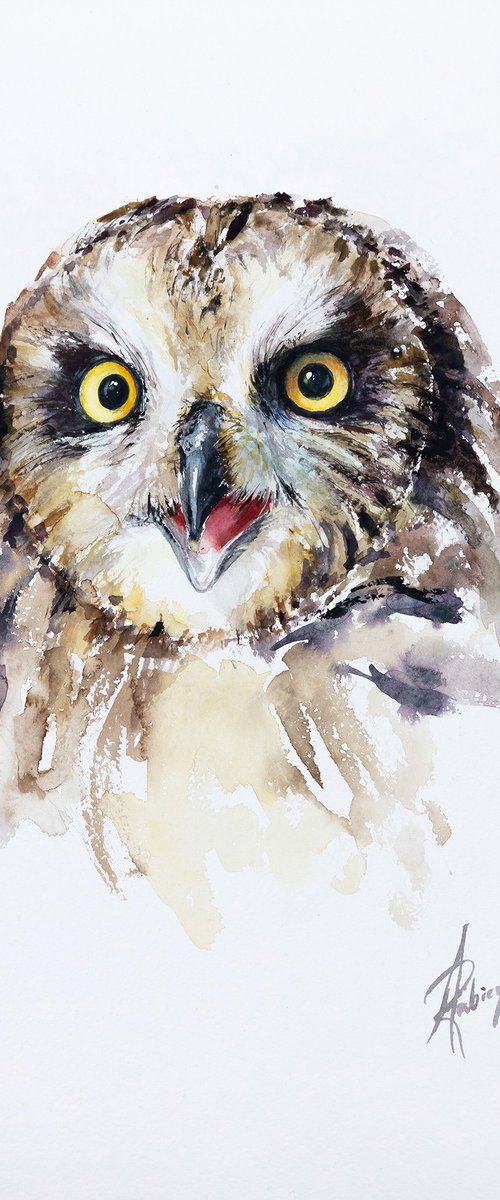 Short-eared Owl by Andrzej Rabiega