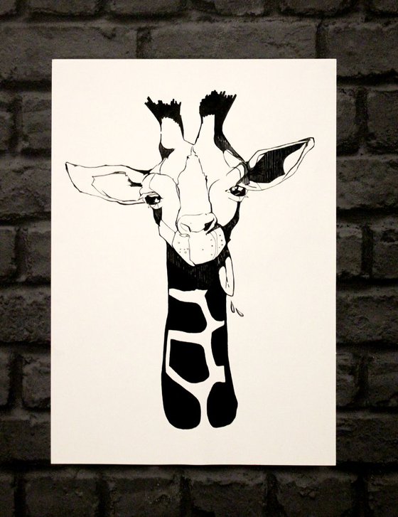 Giraffe Paul