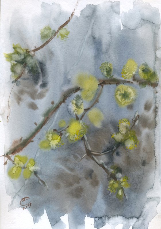 Willow blooming, #1
