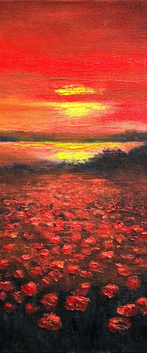Poppy field at sunset by Oleh Rak